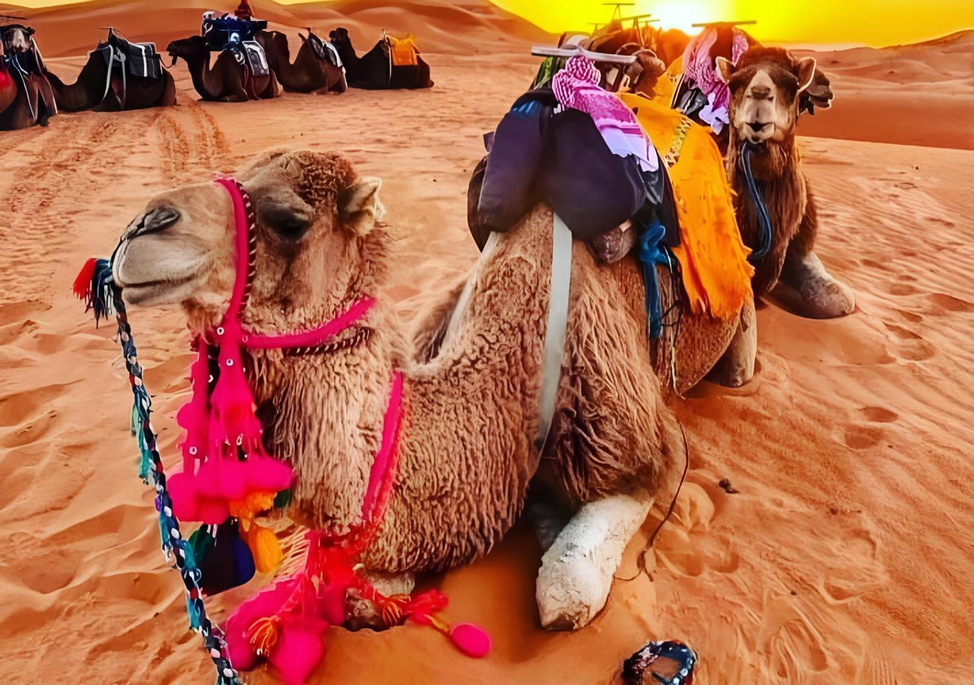 Merzouga Luxurious Tented 외부 사진